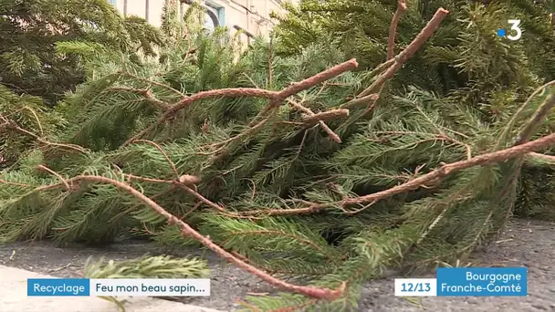 Que faire de son sapin une fois Noël passé ?