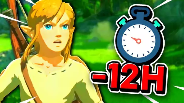 J'ai FINI Zelda Breath of the Wild en moins de 12 HEURES