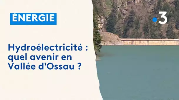 Hydroélectricité , concessions, quel avenir en Vallé d'Ossau