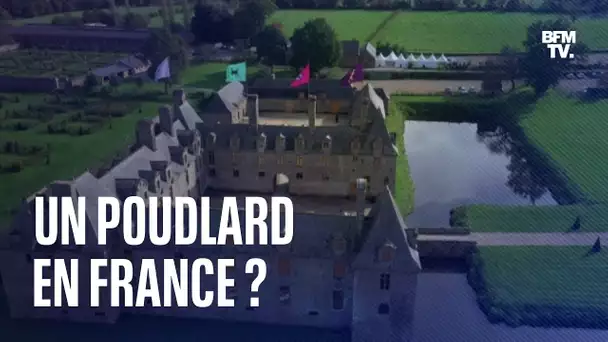 Un Poudlard en France? Une école de sorcellerie inspirée de Harry Potter ouvre en Bretagne