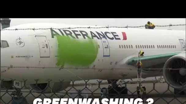 Greenpeace repeint un avion en vert contre le "greenwashing"