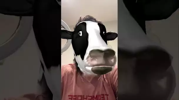 Cow 😂😂