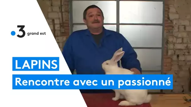 Hervé Milliat , passionné et éleveur de lapins géants à Étréchy