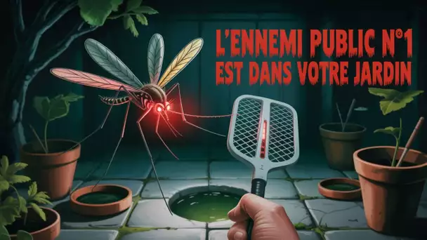 L'ennemi juré des Français : Le Moustique qui veut vous donner une maladie à la con