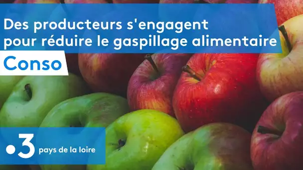 Pays de la Loire : des producteurs s'engagent pour réduire le gaspillage alimentaire