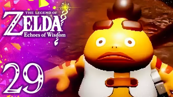 ZELDA ECHOES OF WISDOM #29 : SAUVONS LE ROI GORON ! 🧚‍♀️