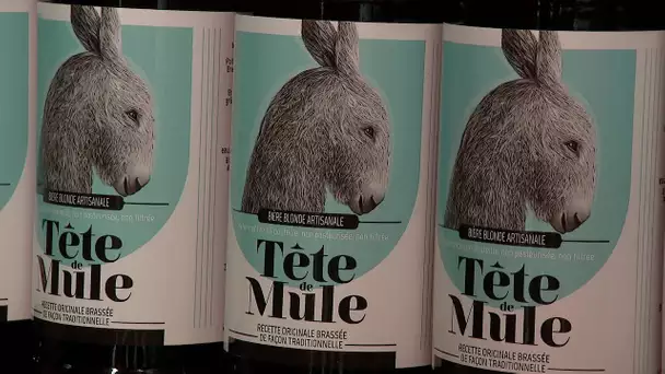 La tête de mule, une bière artisanale née il y a 10 ans dans le marais poitevin