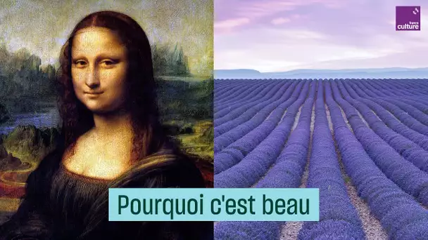 Comment naît le sentiment de beauté