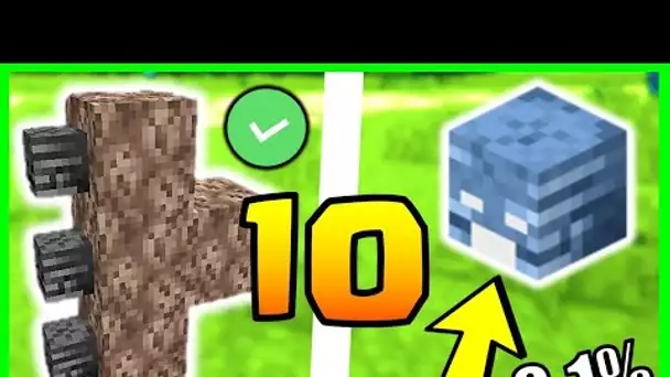 10 SECRETS INCROYABLES SUR LE WITHER MINECRAFT 1.17