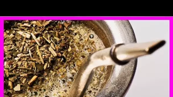 Le Yerba Mate : la boisson des Dieux