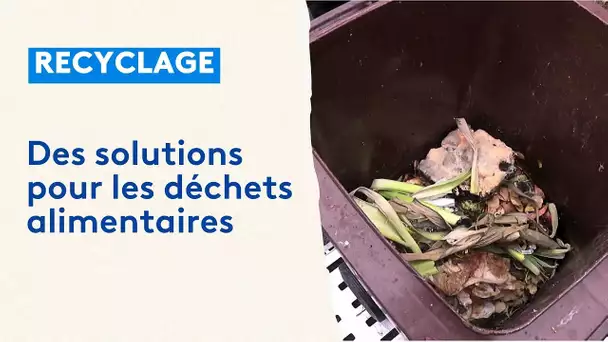 Des solutions pour les déchets alimentaires