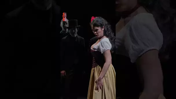 Love is a rebellious bird 🐦 and so is #Carmen ! #shorts #opera – ARTE Concert