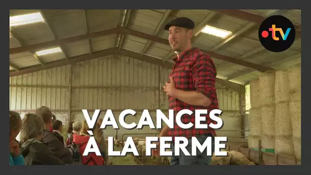 Vacances à la ferme : quand authenticité rime avec proximité