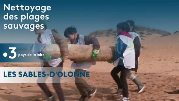 Nettoyage de la plage sauvage de Sauveterre aux Sables-d'Olonne