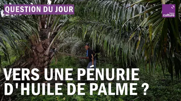 Que peut entraîner la suspension des exportations d’huile de palme par l’Indonésie ?