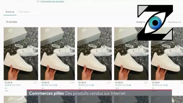 [Zap Télé] Le butin des pilleurs déjà en vente sur internet ! (06/07/23)