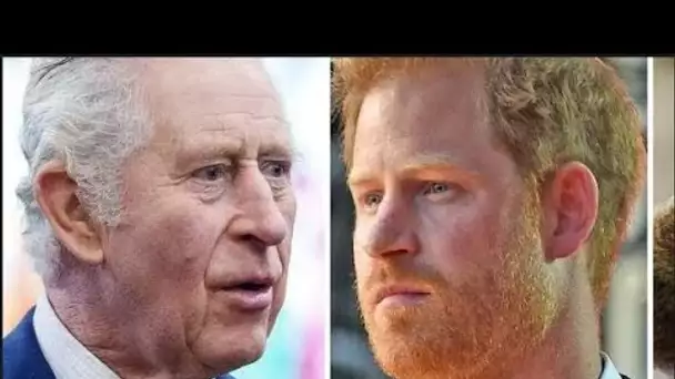 Le prince Harry "recherche la compassion" de Charles malgré son att@que contre la famille royale