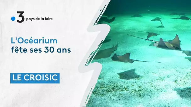 L'océarium du Croisic fête ses 30 ans