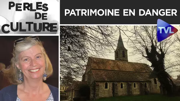 Patrimoine en danger - Perles de Culture n°232 - TVL