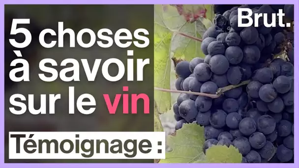 5 choses étonnantes à savoir sur le vin