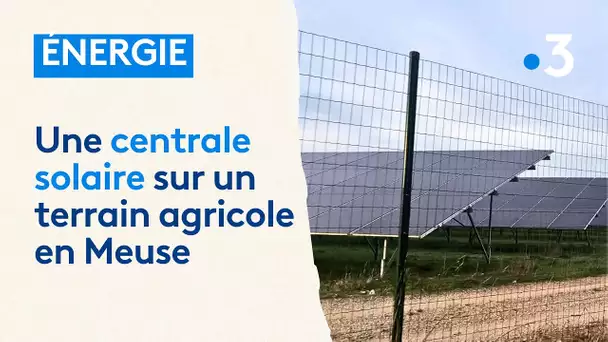 Transition énergétique : projet de centrales solaires dans la Meuse, "c'est une belle opportunité"