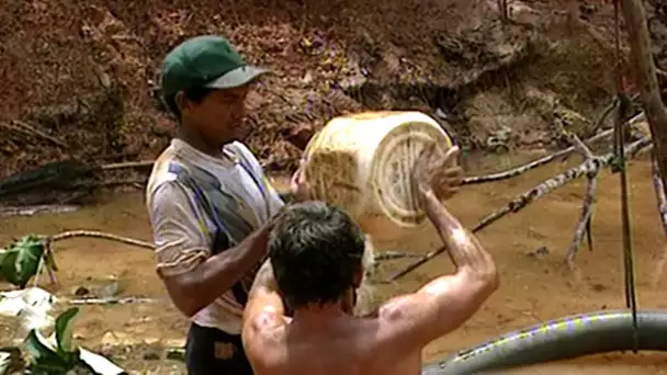 Guyane, la menace de la ruée vers l'or