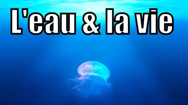 L'eau et la vie — Science étonnante #30