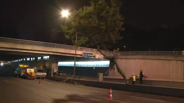 Ça pousse dur sur le périphérique de Paris