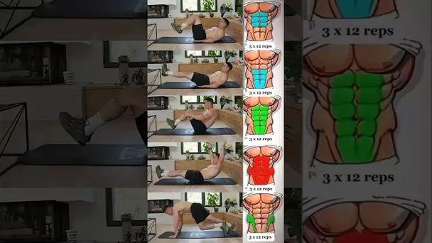 Best beginner abs workout at home ! 🔥