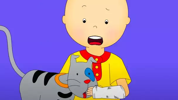 Bras Cassé | Caillou en Français