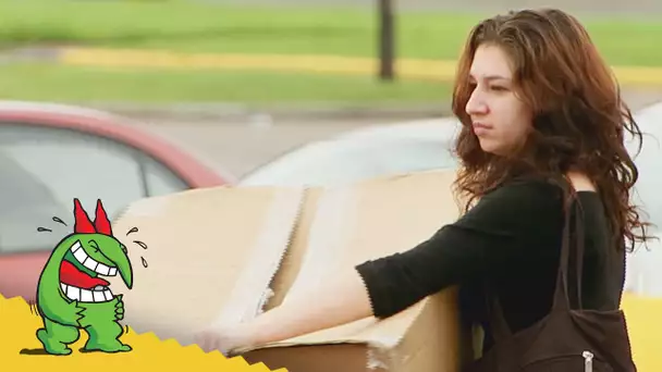 Voiture Ne Veut Pas Etre Dérangée !