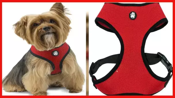 Furhaven Pet - Hands-Free Bungee Dog Leash, LED Collar and Leash Extender, Vehicle Safety Seat Belt