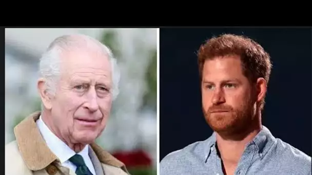 Le prince Harry « extrêmement déçu » par le snobisme du roi Charles après une « pomme de discorde »
