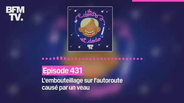 Les dents et dodo - Episode 431: l'embouteillage sur l'autoroute causé par un veau