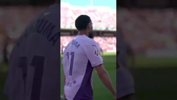 DANJUMA 🐍