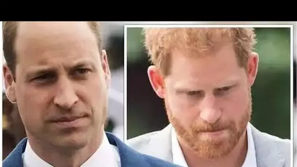 Les docuseries du prince Harry « épine dans la chair » pour William alors que Duke anéantit les espo