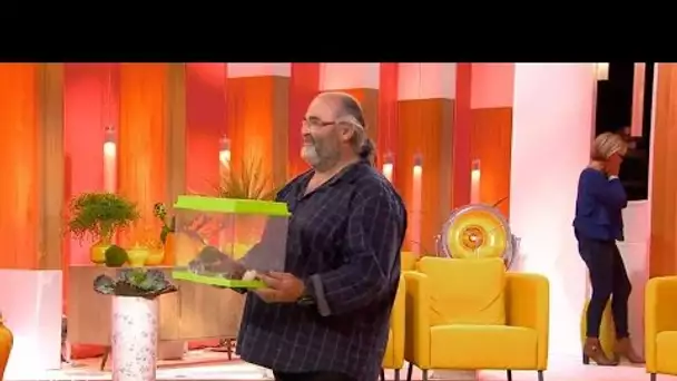C’est mon choix : Arrête ton cinéma, t&#039;es pas malade !