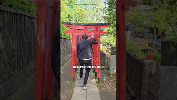 Le sanctuaire Nezu à Tokyo ⛩️