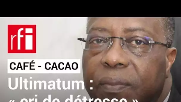 Côte d’Ivoire : le « cri de détresse » du Conseil Café-Cacao  • RFI