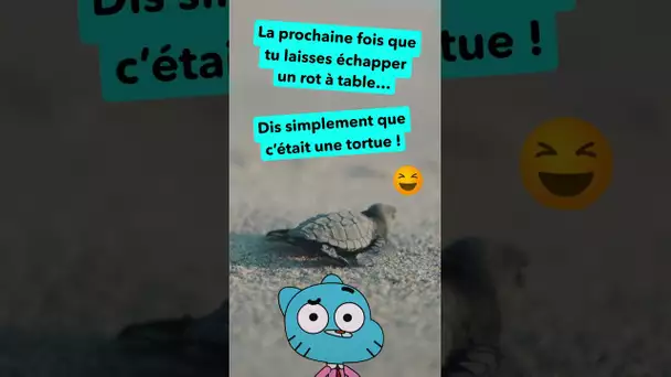 WAOUH : Des tortues qui rotent ? #shorts #tortues @cartoonnetworkFR