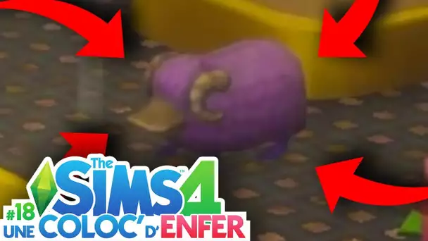 CECI EST UN ANIMAL ?! - COLOC&#039; D&#039;ENFER - EP 19 - SIMS 4