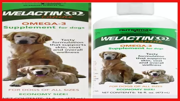 Nutramax Welactin Omega-3 Fish Oil Skin and Coat Health Supplement Liquid for Dogs - 16 Ounce