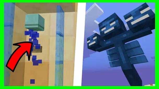 CET ABONNÉ A CREE UN WITHER GIGANTESQUE ! TOP 5 EFFETS MINECRAFT