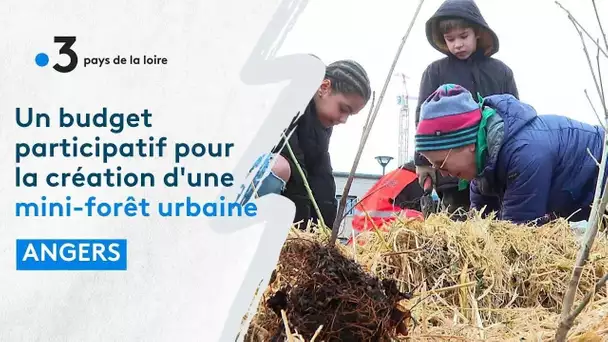 A Angers, enfants et habitants plantent une mini-forêt selon la méthode Miyawaki