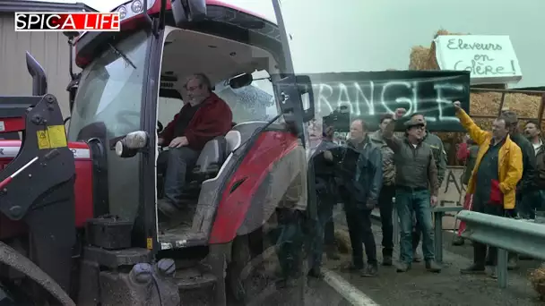 Agriculteurs en colère, ils sont prêts à en découdre