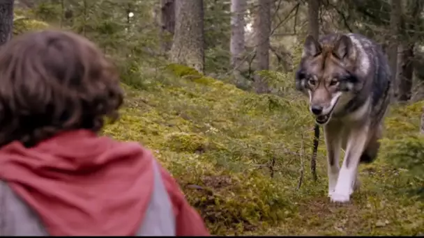 Sepp, l&#039;ami des loups  - Film famille en français