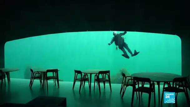 Dîner sous l'eau mais au sec dans le premier restaurant sous-marin d'Europe
