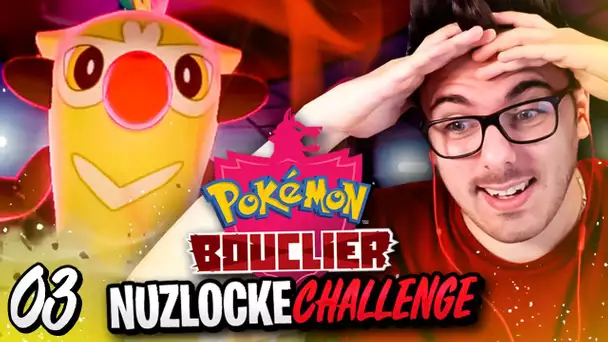 POKEMON BOUCLIER NUZLOCKE #02 : LES 2 PREMIERS BADGES !