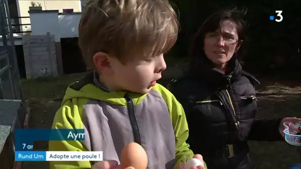 Franc succès de la distribution de poules à Colmar