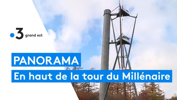 La tour du Millénaire et son panorama grandiose sur la forêt ardennaise